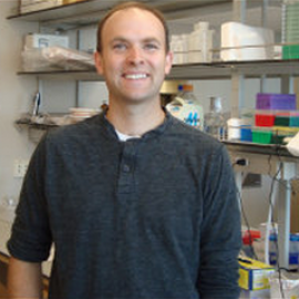 Kris Webb, Ph.D.